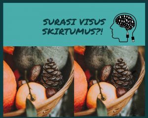 Surasi visus skirtumus?