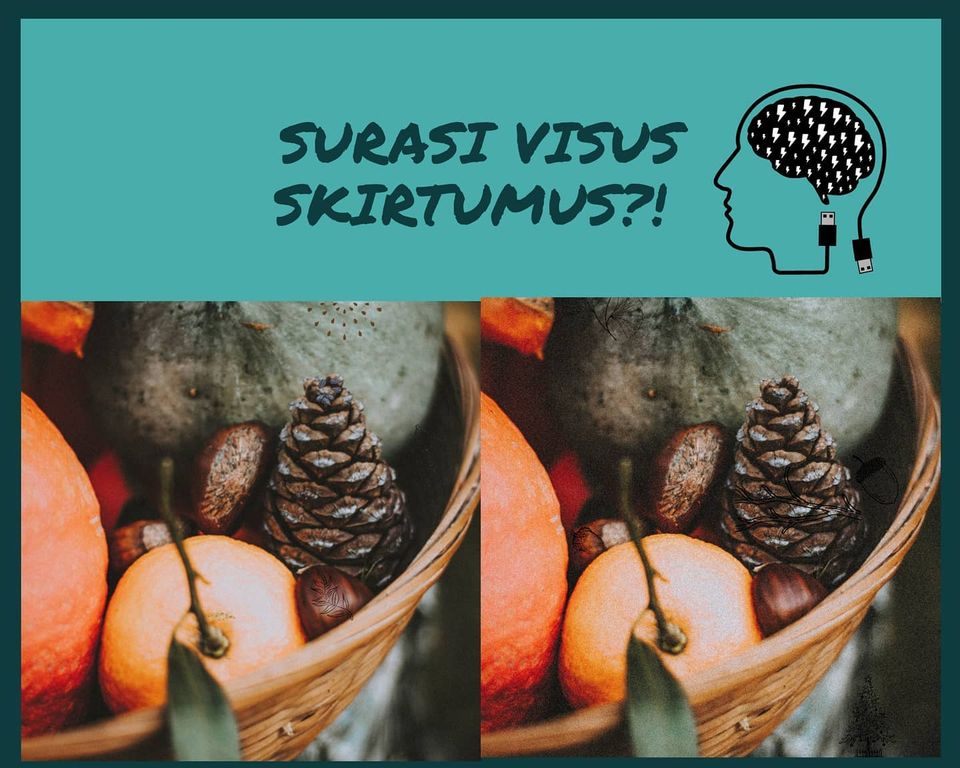 Surasi visus skirtumus?