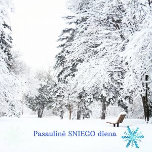 Pasaulinė sniego diena