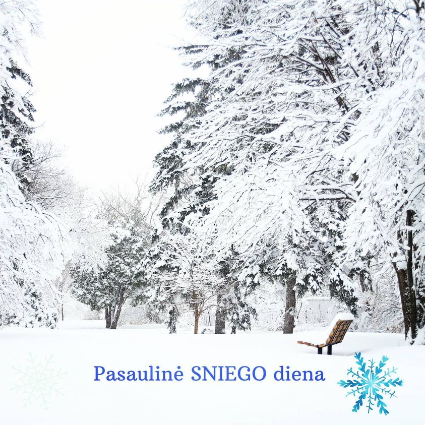 Pasaulinė sniego diena