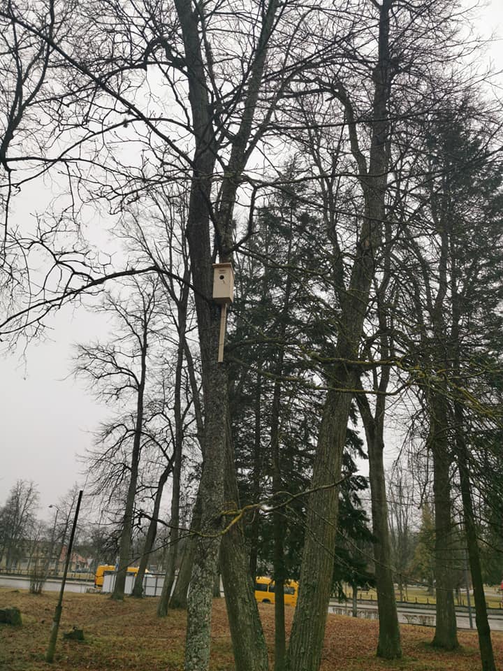Pasaulinė paukščių diena