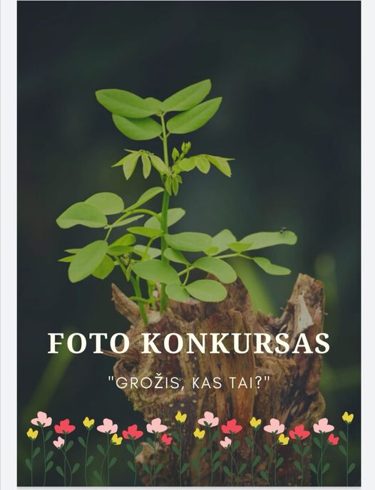 Foto konkursas,, Grožis, kas tai“
